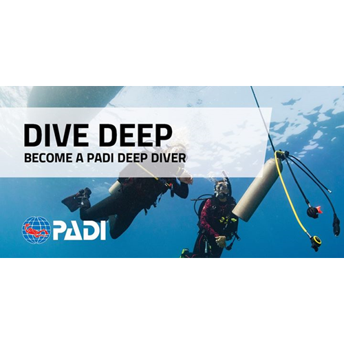 Deep Diver Specialty